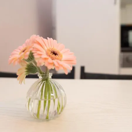 Lebenslang - - Cozy - Boxspringbed Apartment