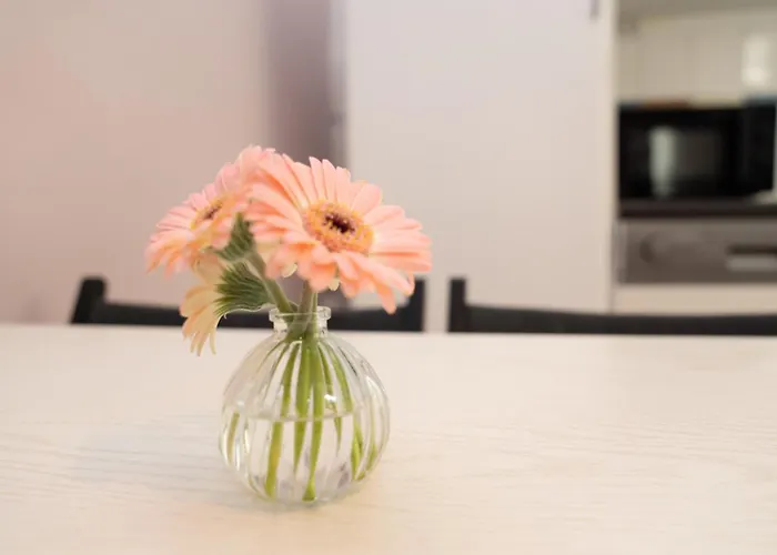 Lebenslang - - Cozy - Boxspringbed Apartment